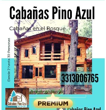 Cabañas Pino Azul
