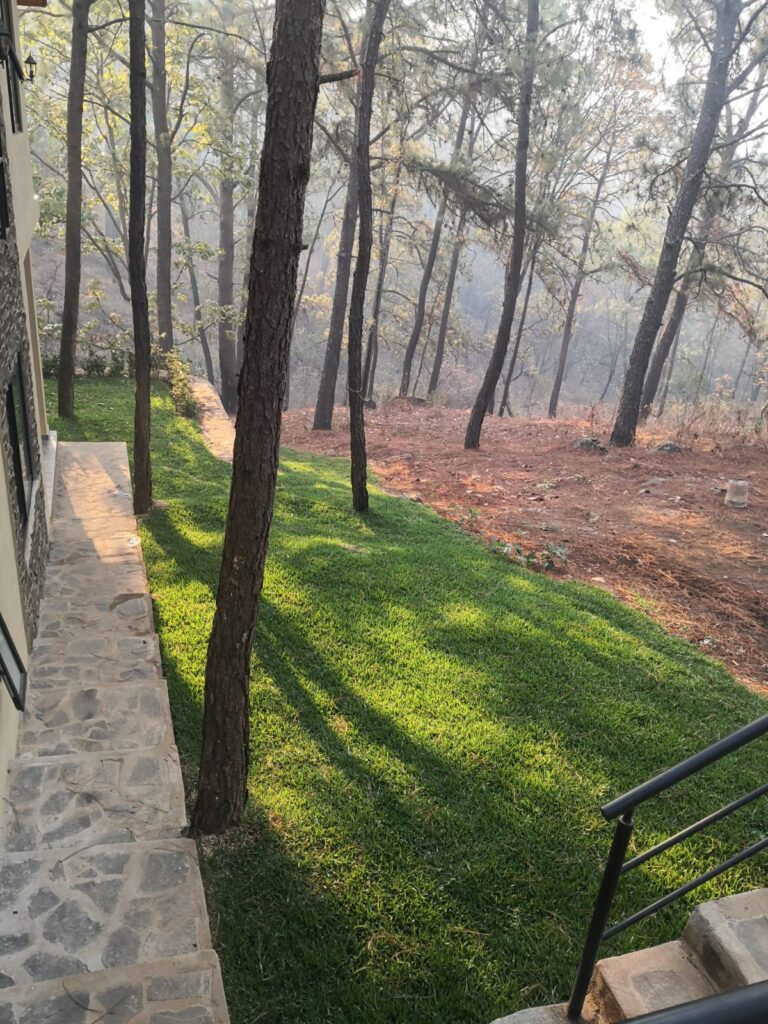 Rincón del Jilguero