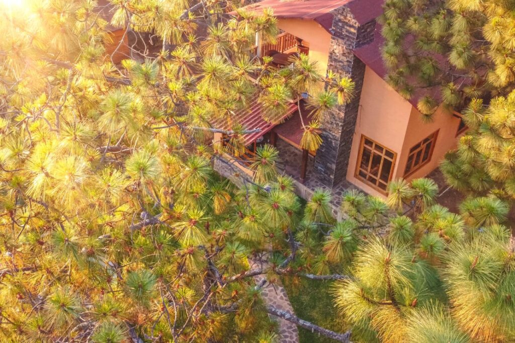 Cabaña La Montañita