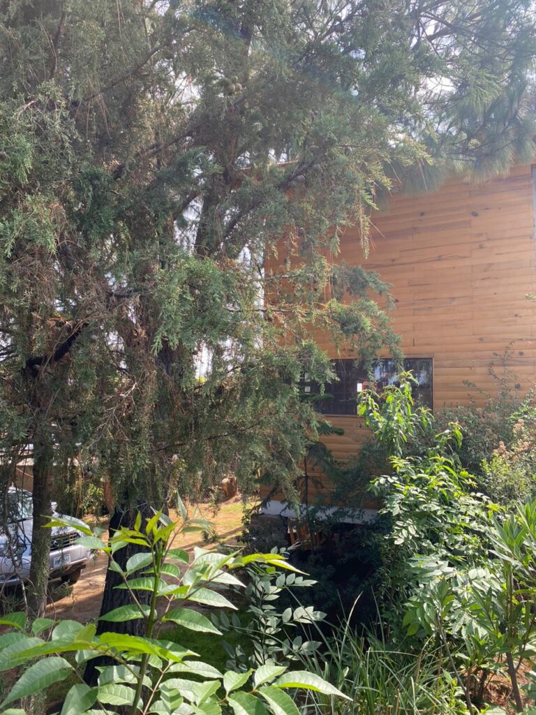 Cabaña Asís Mazamitla