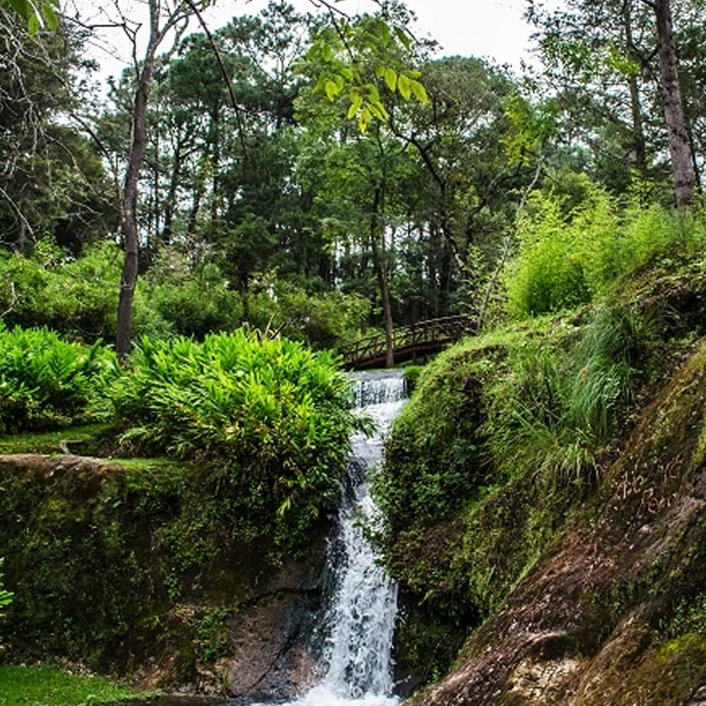 Zona Los Cazos y Arroyo Encantado Mazamitla