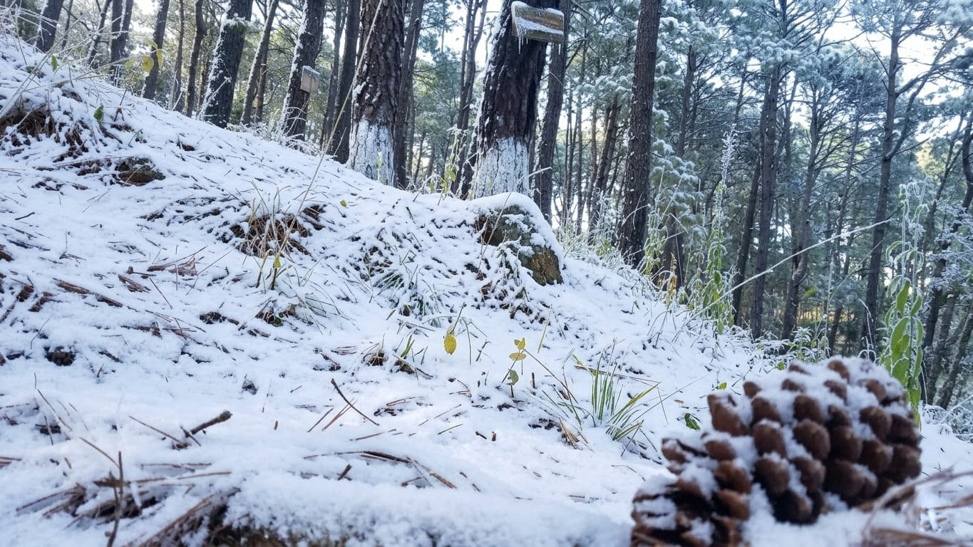 Mazamitla en invierno