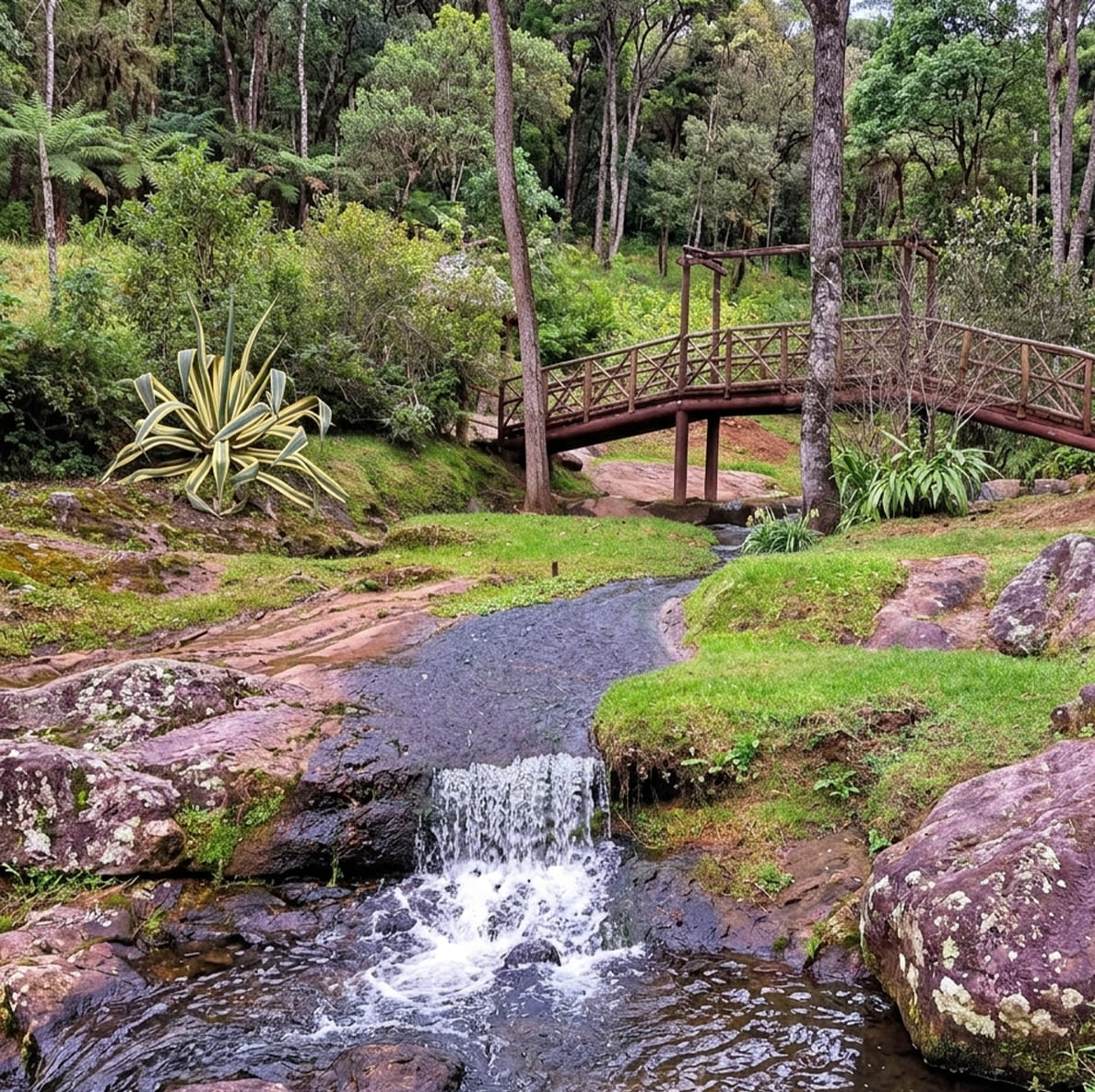 Zona Los Cazos y Arroyo Encantado Mazamitla