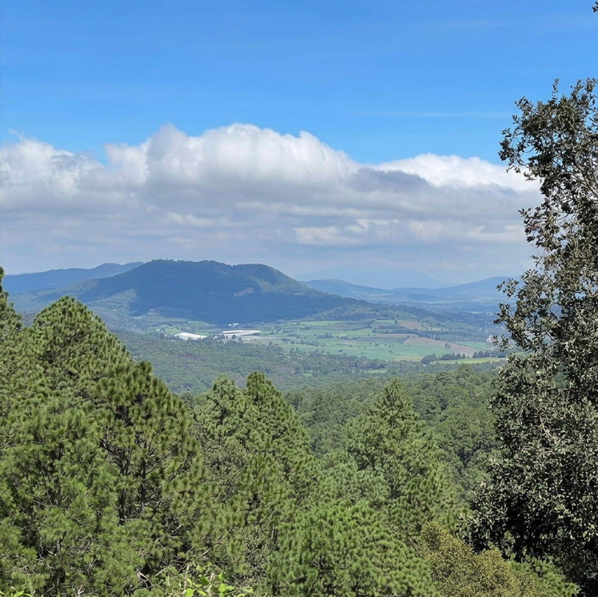 Mirador Sierra del Tigre Mazamitla
