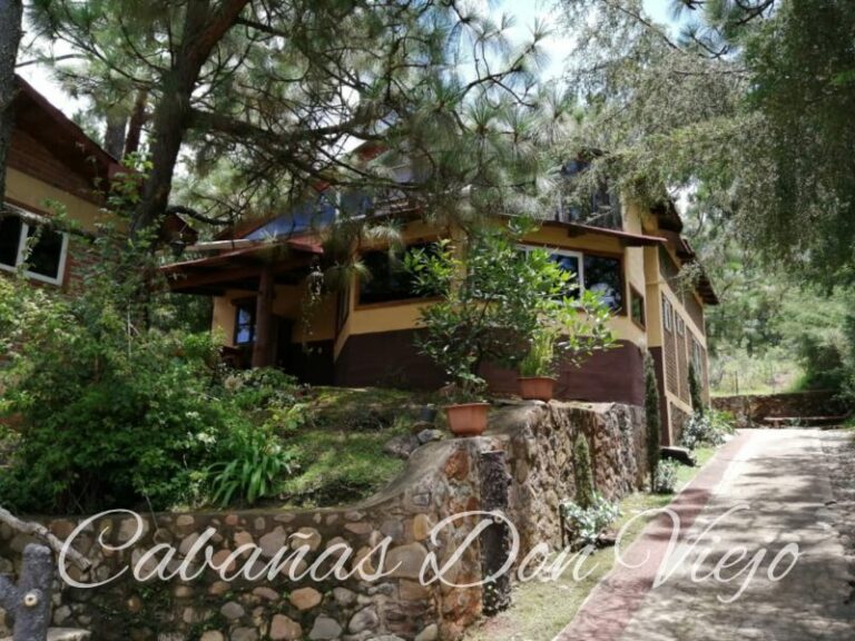 Cabañas Don Viejo