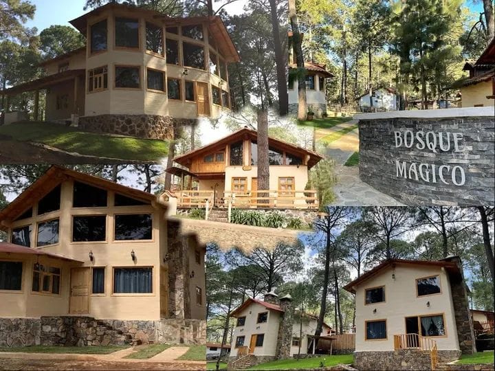 Cabañas Bosque Mágico
