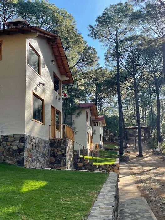 Cabañas Bosque Mágico